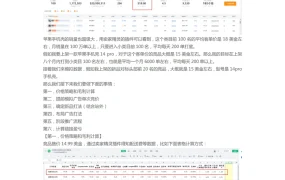 2024年3C红海类目站外推广与广告速效打法-9页