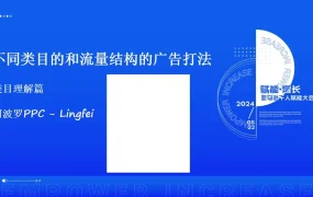 2024年亚马逊不同类目与流量结构的广告打法指南-33页