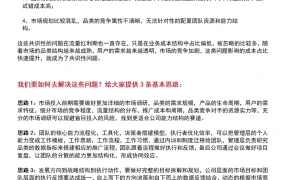 2024年跨境电商新品推广痛点与流量结构优化策略-31页