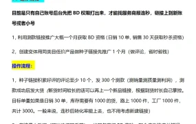 2024亚马逊BD连秒爆款打法全解析-4页