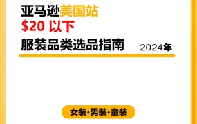 2024年亚马逊20美金以下服装选品指南-32页