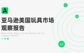 2024年亚马逊美国玩具市场观察报告-41页