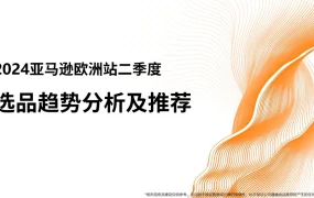 2024年第二季度亚马逊欧洲站选品趋势分析及推荐-50页