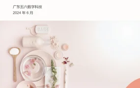 2024年美妆个护跨境电商趋势与策略报告-12页