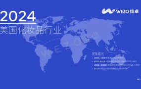2024美国化妆品行业市场趋势与跨境电商机会分析报告-46页