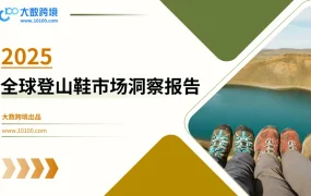 2025全球登山鞋市场洞察报告-44页