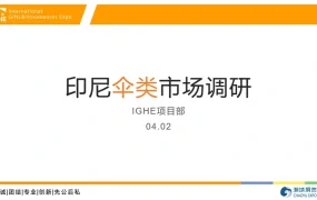 2025年印尼伞类市场调研报告-30页