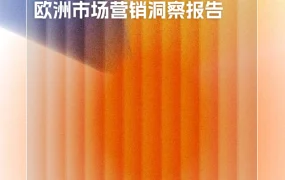 2025年欧洲跨境电商市场洞察与营销策略报告-23页
