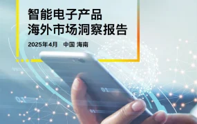 2025智能电子产品海外市场洞察报告-14页