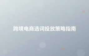 跨境电商选词投放策略指南-1页