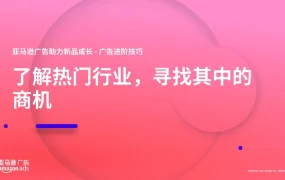 亚马逊广告进阶技巧与热门行业商机指南-29页