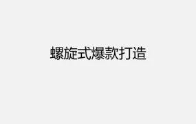 42天螺旋式爆款打造规划参考案例-20页