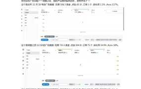 1个月出单量增加100倍的广告打法解析-5页
