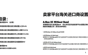 亚马逊卖家平台海关进口商设置全流程指南-28页