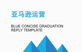 亚马逊运营考核及日常维护操作指南-48页