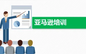 亚马逊平台运营入门与实战指南-52页