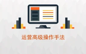 亚马逊高级运营实战手册-44页
