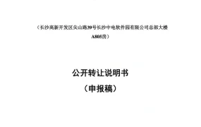 Anker财务报表分析及跨境电商运营策略-176页