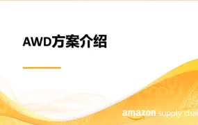 亚马逊仓储与配送（AWD）全链路解决方案指南-36页