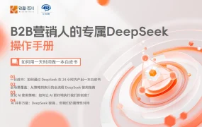B2B营销人DeepSeek操作手册：24小时高效产出白皮书指南-30页
