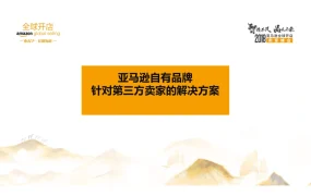 亚马逊自有品牌项目深度解析与运营指南-17页