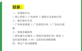 COSMO算法下亚马逊纯白帽广告全新玩法2025版-34页
