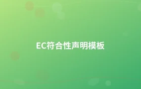 EC符合性声明模板-1页