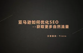 亚马逊SEO优化与关键词策略实战指南-48页