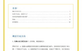 亚马逊欧洲站IPI库存绩效指标优化指南2020-13页