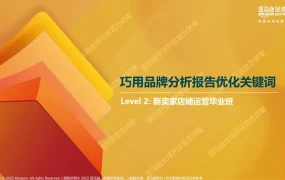 巧用品牌分析报告优化关键词-52页