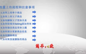 亚马逊Listing批量操作指南-19页