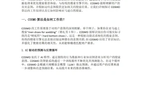 亚马逊COSMO算法与Rufus AI购物助手下的Listing优化策略-13页