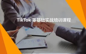 TikTok账号环境伪装与下载安装实操指南-37页