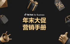 TikTok年末大促营销手册-61页