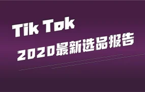 TikTok跨境电商选品指南2025-25页