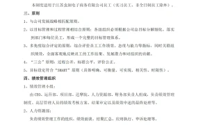 跨境电商企业绩效管理制度与实战指南-8页