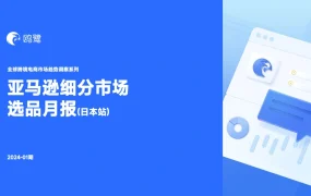 亚马逊日本站选品月报2024年1月-19页