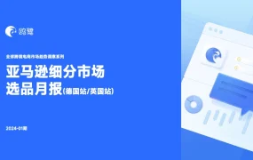2024年1月亚马逊德国站与英国站选品月报-33页