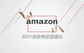 亿级卖家易佰网络运营总监分享：亚马逊旺季运营实战指南-14页