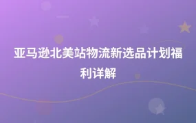亚马逊北美站物流新选品计划福利详解-1页