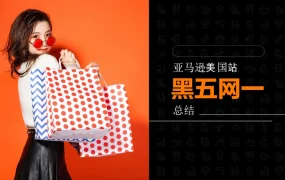 2023年美国亚马逊黑五网一销售数据深度分析报告-14页