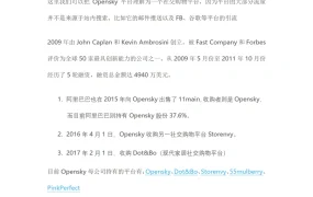 Opensky平台开店及运营攻略-13页