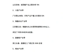 中国跨境电商货源产业带全指南（200个核心产业带）-17页