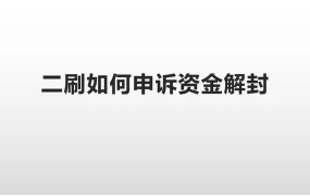 亚马逊二刷资金解封申诉指南-18页