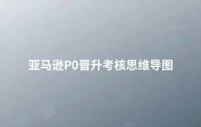 亚马逊P0晋升考核思维导图-1页