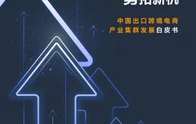 亚马逊2022中国跨境电商产业集群白皮书-30页