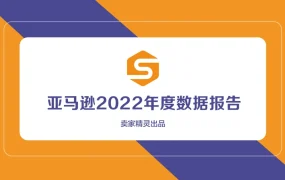 亚马逊2022年年度数据报告-41页