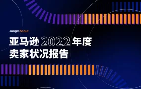 亚马逊2022年度卖家状况报告-43页