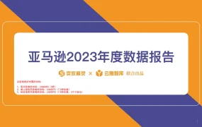 亚马逊2023年度数据报告-50页