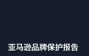 亚马逊2022年品牌保护报告-22页